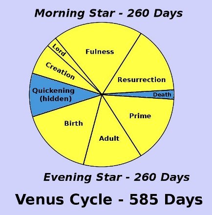 585-Day Uniform Venus Calendar Cycle