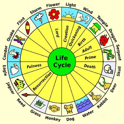 Venus life cycles correspond to Veintena days.