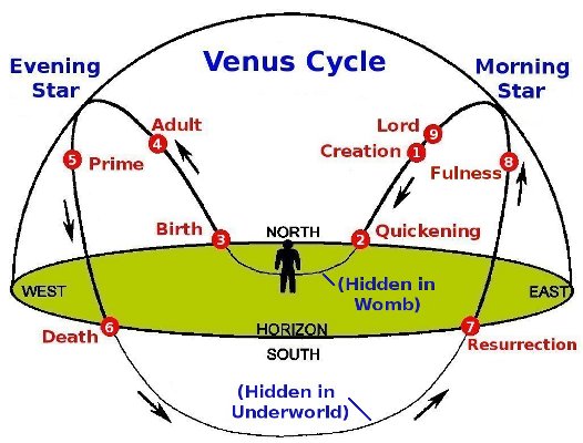 Venus Cycle